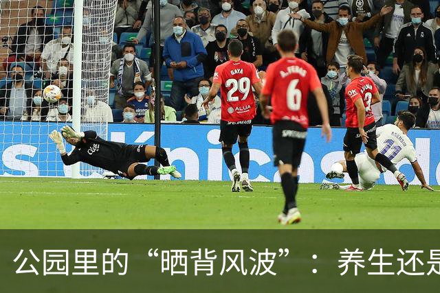 公园里的“晒背风波”：养生还是给大家添麻烦？